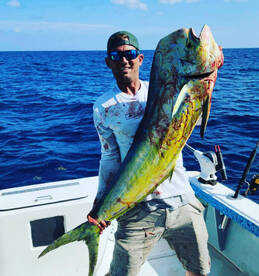 Mahi Mahi have been chewing  !!!!