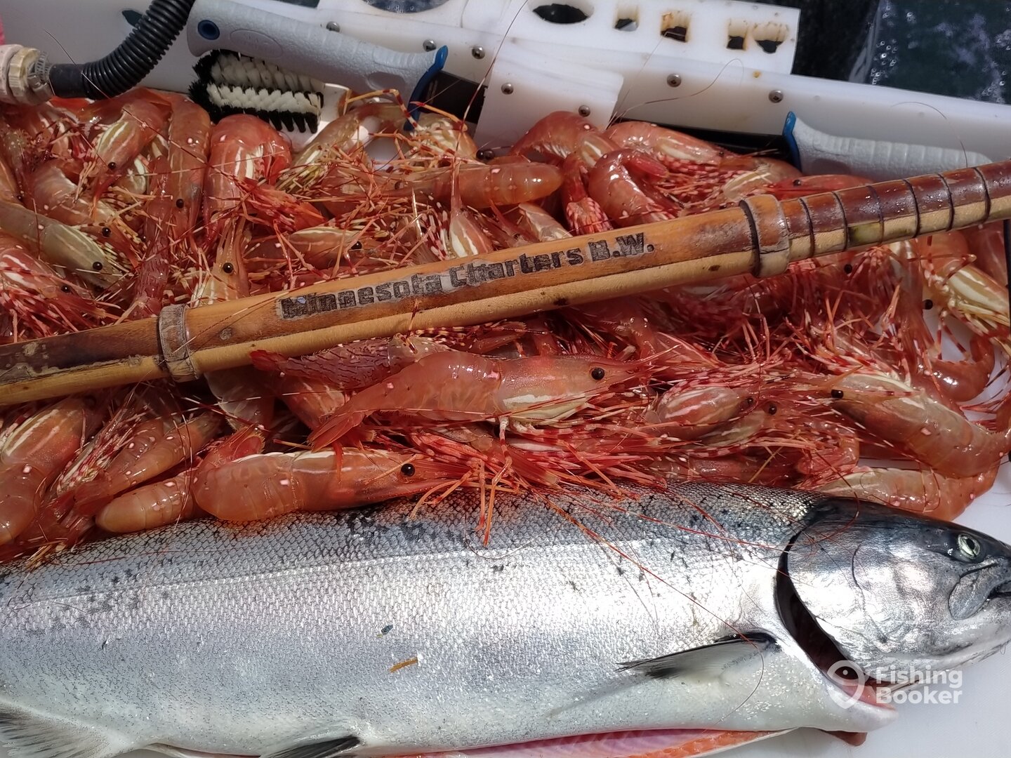 Ucluelet Report Photo 0
