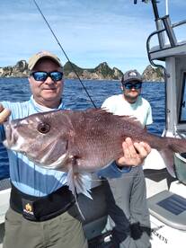 Tairua Report Photo 1