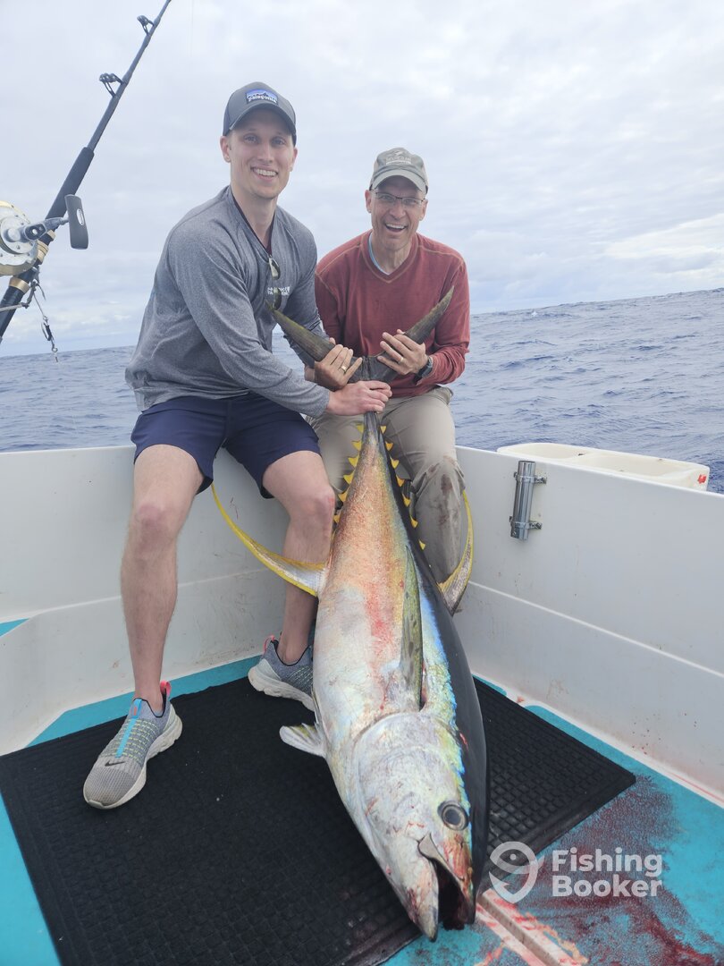 Haleiwa Report Photo 0