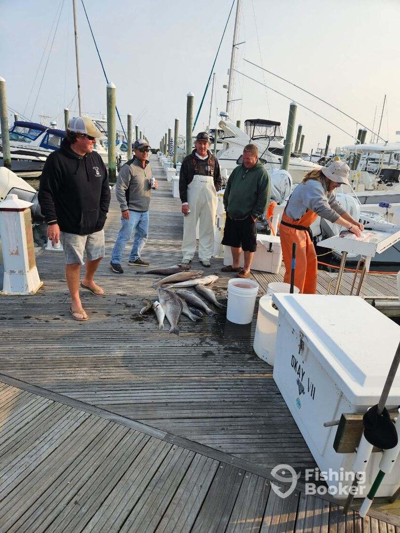 Longport Report Photo 0