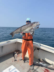Longport Report Photo 2