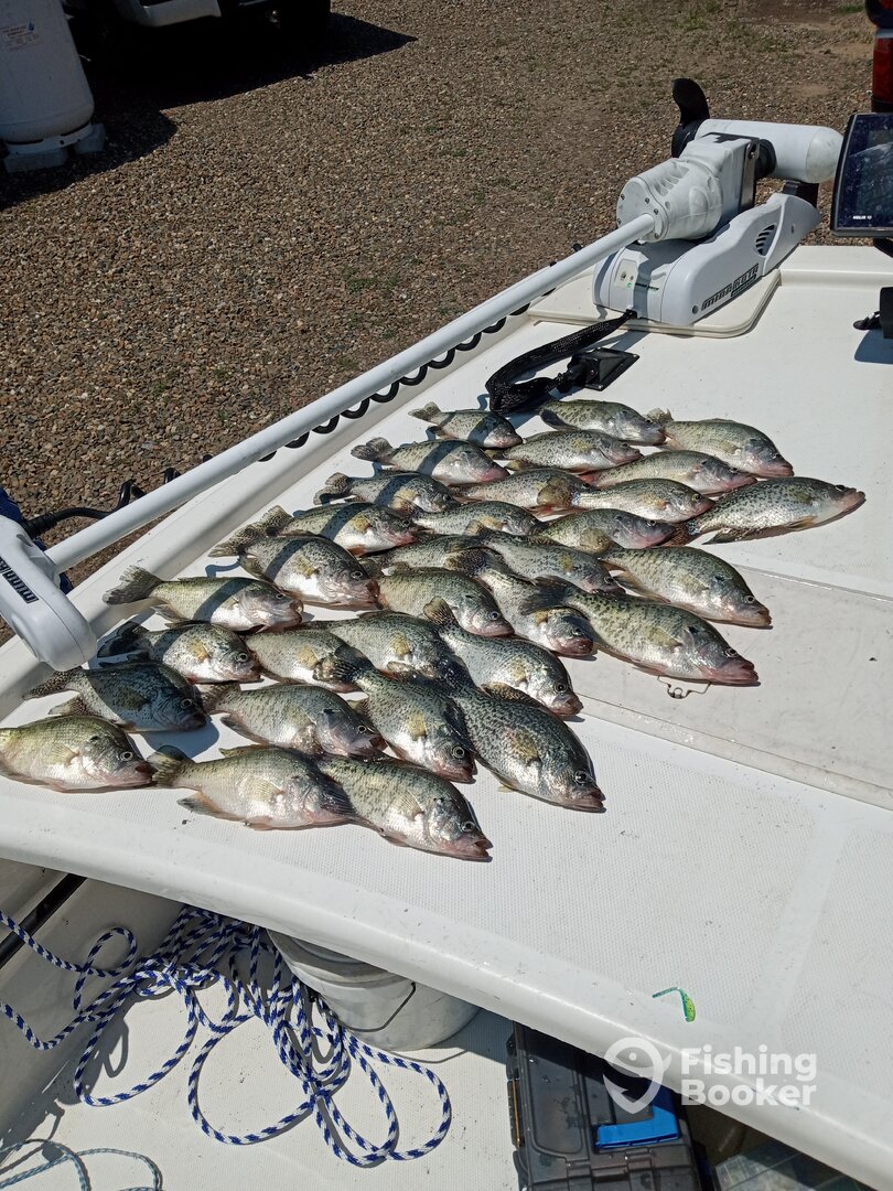 Quitman Report Photo 0