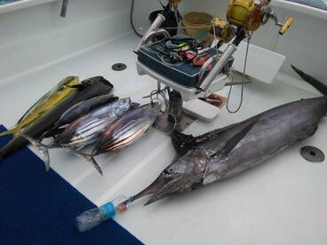 Le Morne Report Photo 2