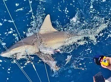 Dania Beach Report Photo 1