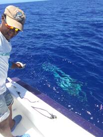 Jerome on the leader with the Black Marlin