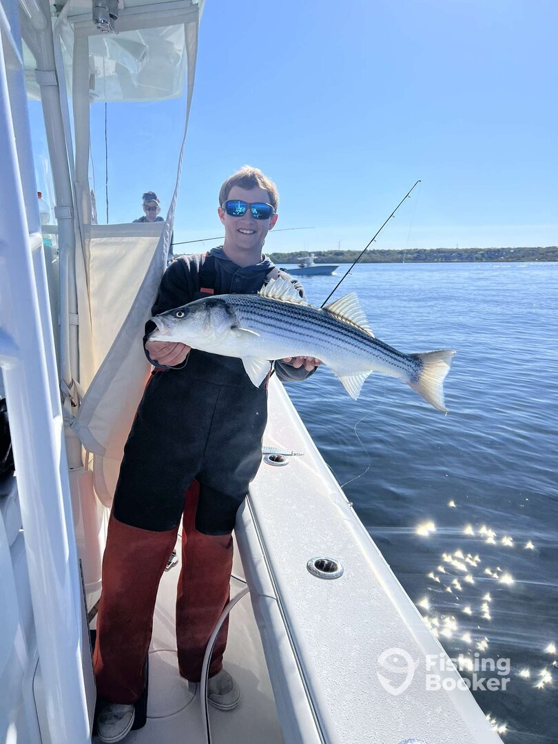 South Kingstown Report Photo 0