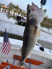 Good Fishing out of Lorain last week
