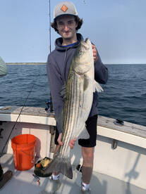 Narragansett Report Photo 2