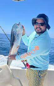 Mahi Mahi season 2023