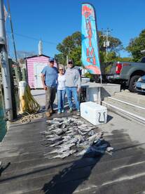 SeaBass season is in full swing and they