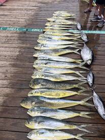 Gulf Stream Fishing is HOT!!