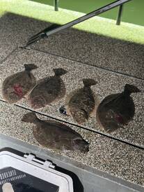 Galveston Report Photo 2