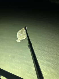 Galveston Report Photo 1