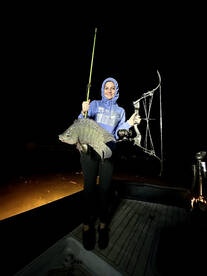 Giant Tilapia  