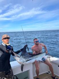 Cabo San Lucas Report Photo 2