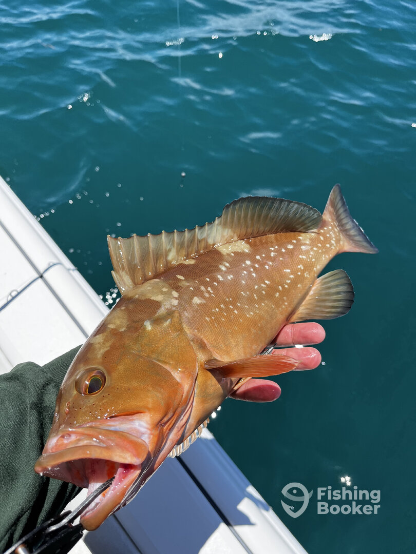 Cape Coral Report Photo 0