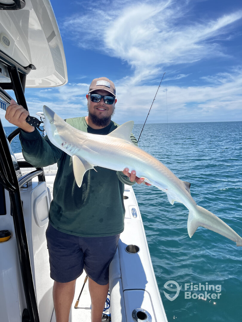 Cape Coral Report Photo 0