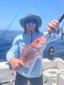 Gulfport Report Photo 2