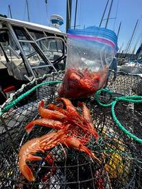 Seattle Report Photo 2