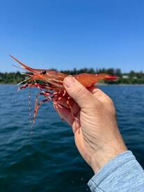 Seattle Report Photo 1