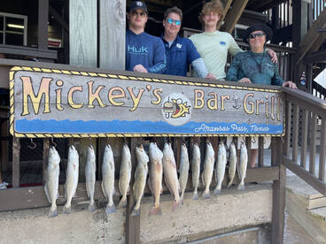 Rockport Report Photo 1