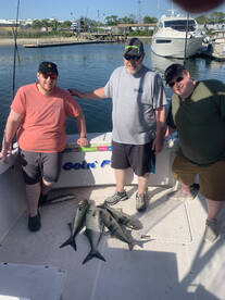 New York City Report Photo 1