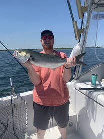 New York City Report Photo 2