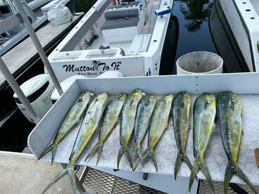 Mahi Mahi