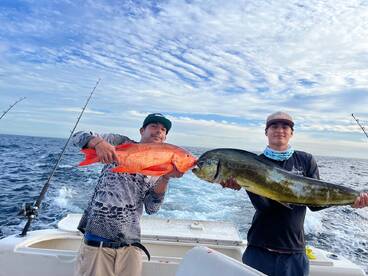 Cabo San Lucas Report Photo 1