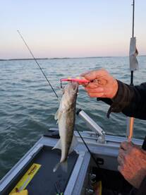 Lakeside Marblehead Report Photo 1