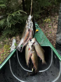 Lake Placid Report Photo 2