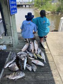 Lake Charles Report Photo 2