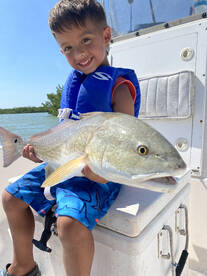Redfish and Manatee sightings! 