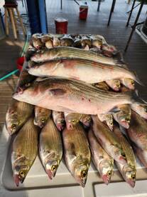 West Tawakoni Report Photo 1