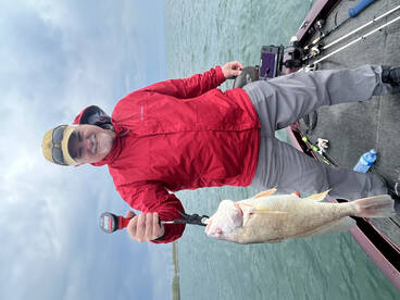 Buffalo Report Photo 1