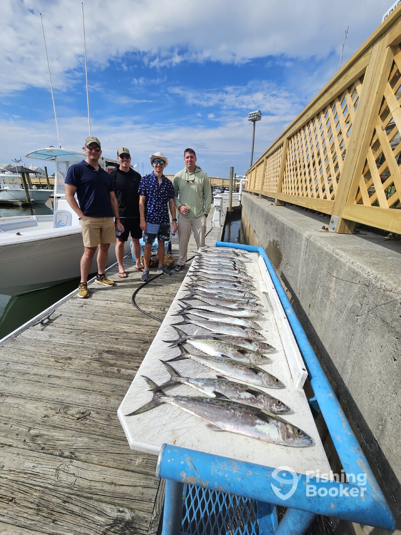 Wilmington Report Photo 0