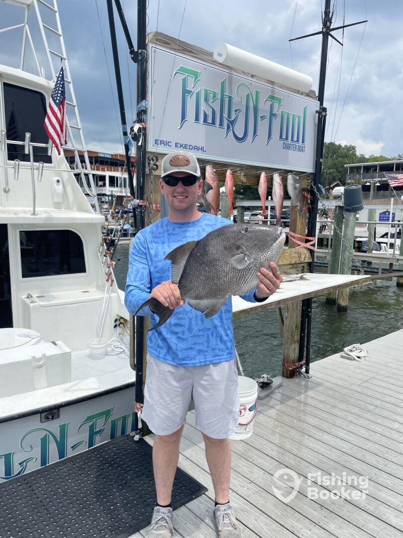 Destin Report Photo 0