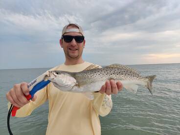 Speckled Trout