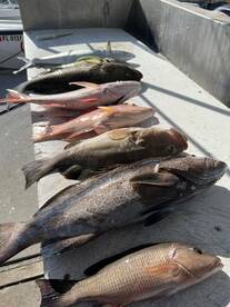 Some nice fish being caught right now !!