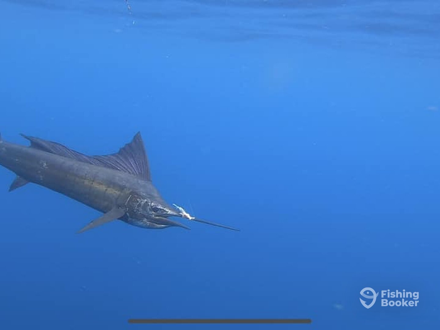 Quepos Report Photo 0