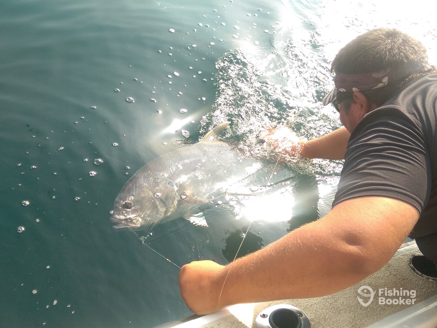 Puerto Vallarta Report Photo 0