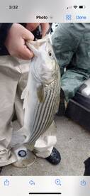 Penhook Report Photo 1