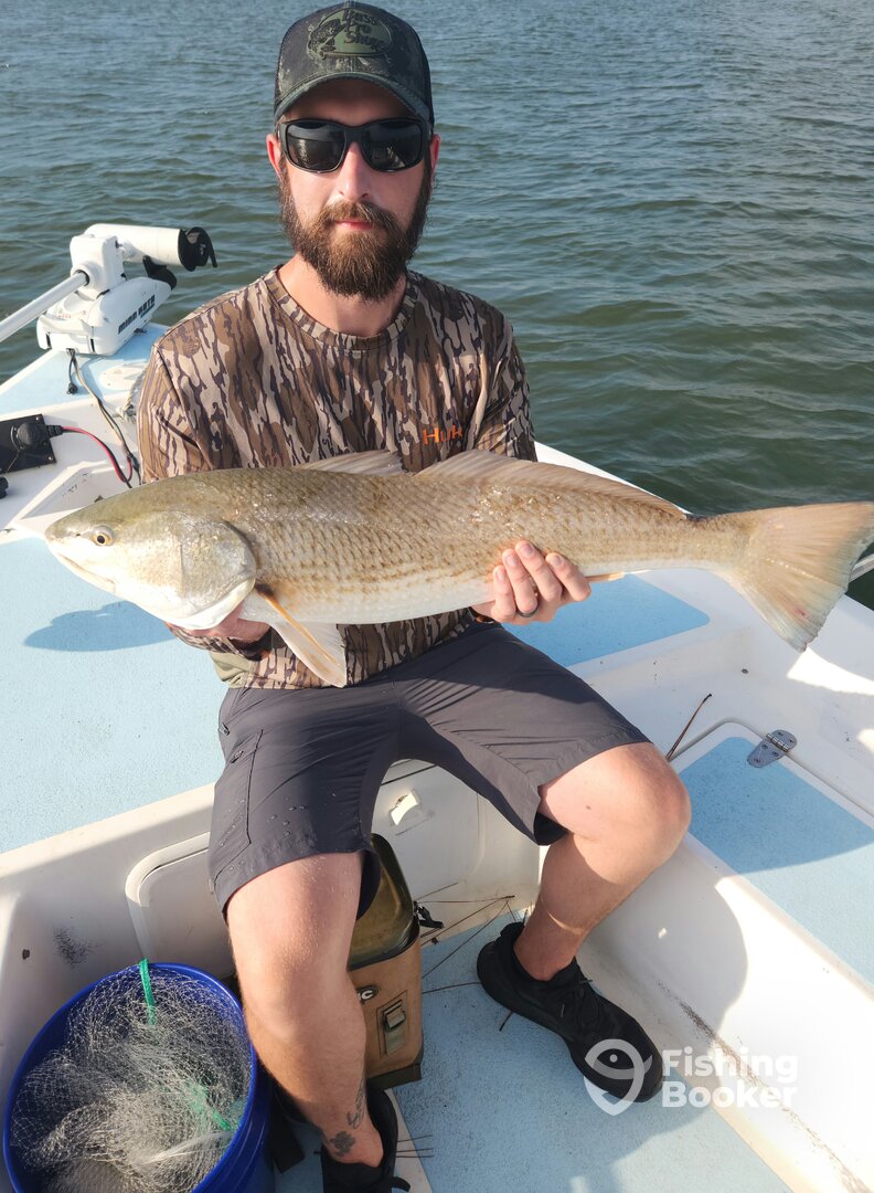 Wilmington Report Photo 0
