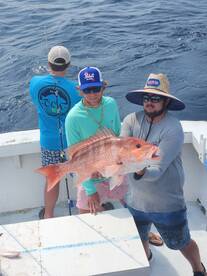 Red snapper season is upon us