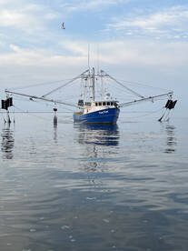 Venice Report Photo 1