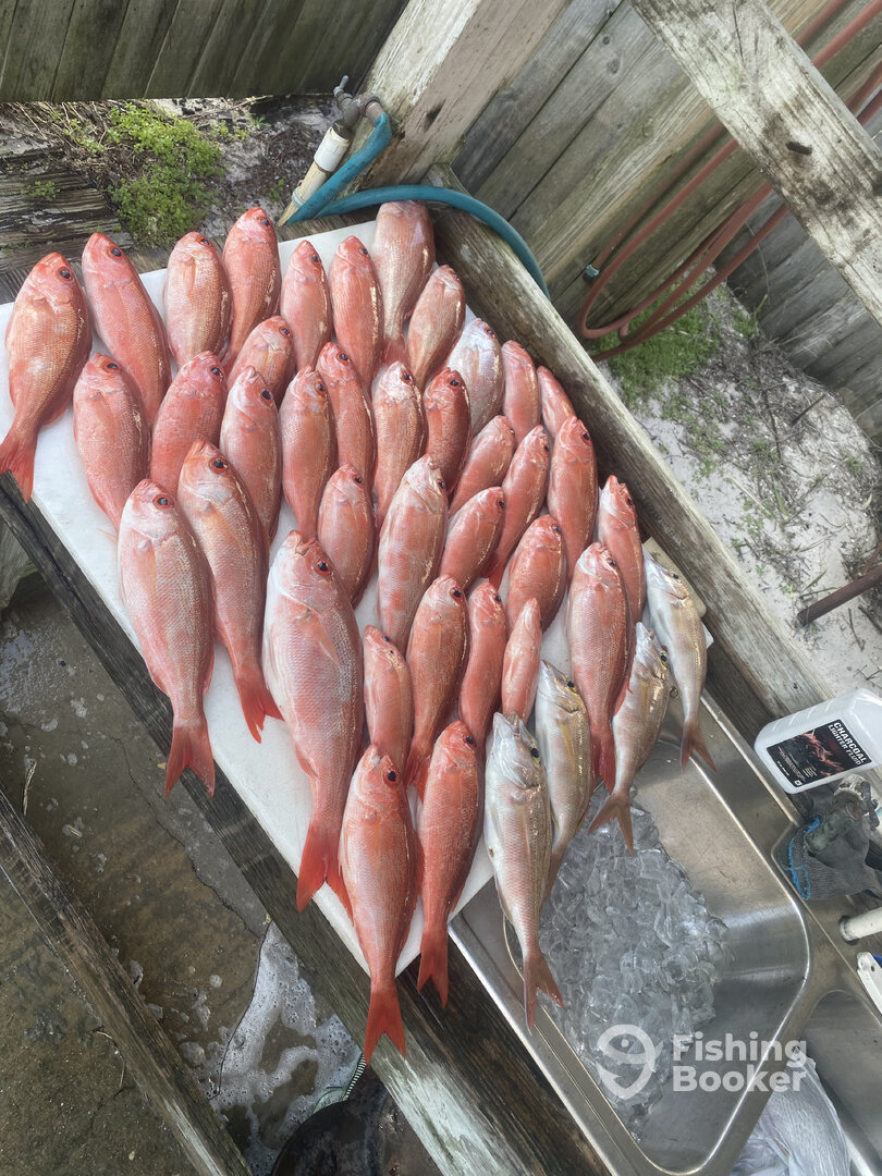 Grayton Beach Report Photo 0