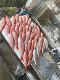 May 31st Fishing Report