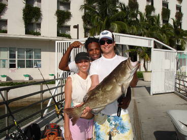 Miami Report Photo 2