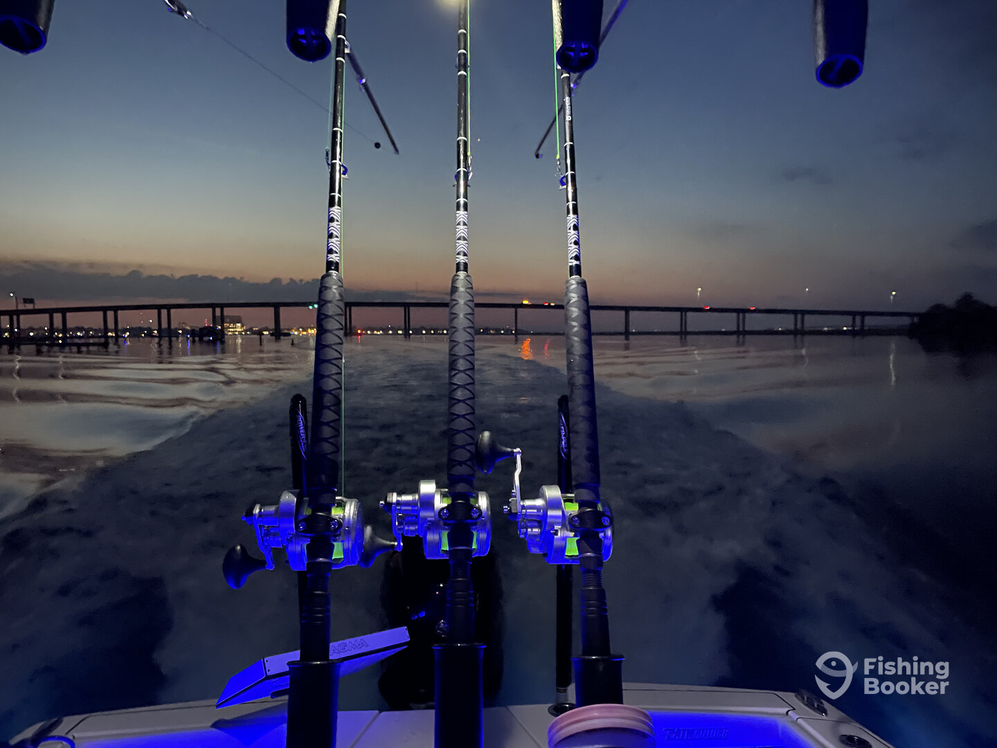 Charleston Report Photo 0